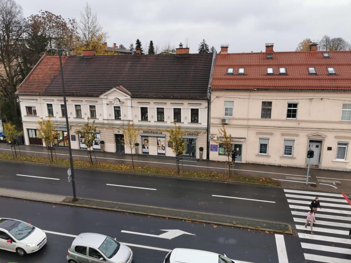 Apartment Trzaska With Free Parking Ljubljana Eksteriør billede